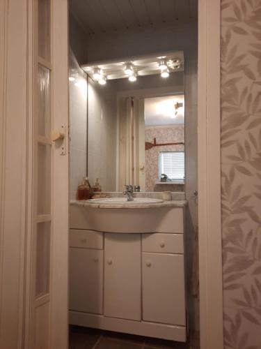 a bathroom with a sink and a mirror at Het Goudvinkennestje in Matsloot