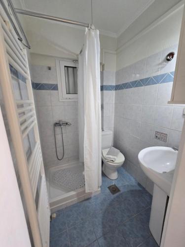 a bathroom with a shower and a toilet and a sink at Dimitris House Petriti in Petrití