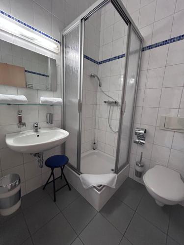 a bathroom with a shower and a sink and a toilet at Alte Harcher Schule in Harra