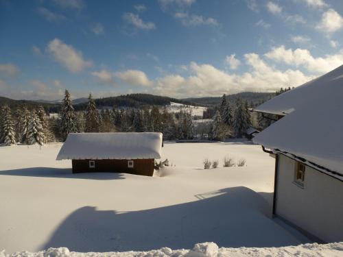 a house covered in snow with trees in the background at Haus Annemarie in Philippsreut