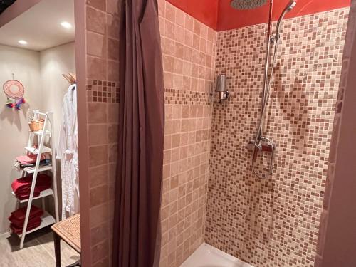 a bathroom with a shower with brown tile at Le Petit Moras in Chomérac