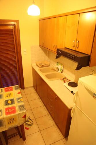 a kitchen with wooden cabinets and a sink and a refrigerator at Vasiliki Apartments in Platamonas