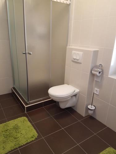 a bathroom with a toilet and a glass shower at Haus Alpenblick Mölltal in Flattach