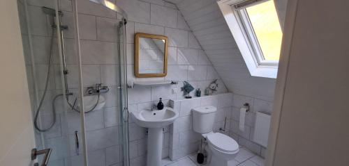 a bathroom with a toilet and a shower and a sink at Moselhof in Burg