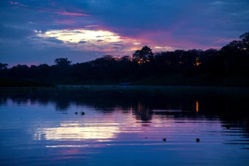 a group of ducks swimming in a lake at sunset at Ämak Iquitos Ecolodge - All Inclusive in Santa Clara