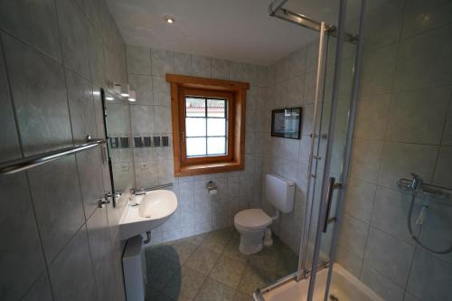 a bathroom with a sink and a toilet and a shower at Blockhaus Fleesensee in Silz