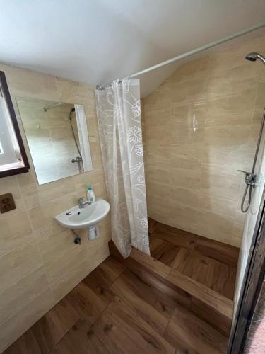 a bathroom with a sink and a shower at У Блищака in Pilipets