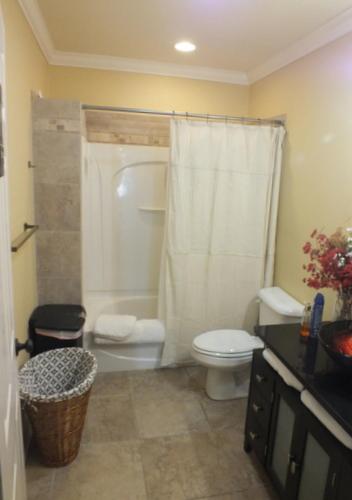 a bathroom with a toilet and a shower at The Pepin Mansion B&B on Mansion Row - 10 min to start of the Bourbon Trail in New Albany
