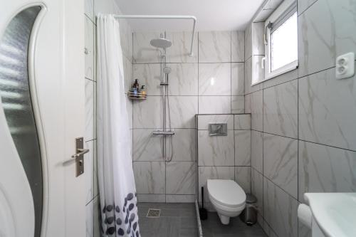 a small bathroom with a toilet and a shower at Vila Petro in Iaşi