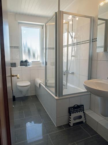 a bathroom with a shower and a toilet and a sink at Xantenglück in Xanten