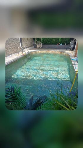 a large swimming pool with blue water and plants at Ti case ali in Saint-Benoît