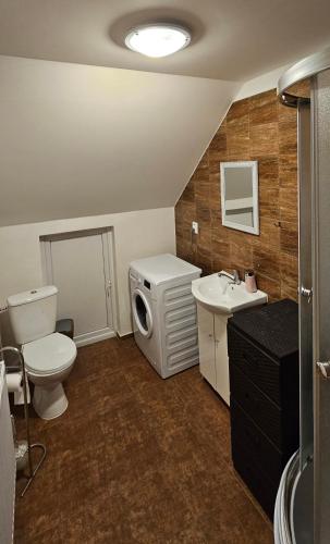 a bathroom with a toilet a sink and a washing machine at Chata Lipa in Trstená