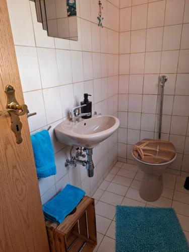 a bathroom with a sink and a toilet at Gutheils-Ferienwohnung in Nanzdietschweiler