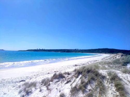 a beach with sand and the ocean on a clear day at Seascape Peninsula Bach in Kaitaia