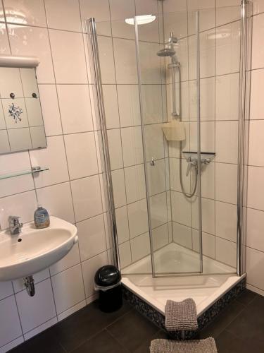 a bathroom with a shower and a sink at Ferienwohnung Schwarzwaldrand in Nagold