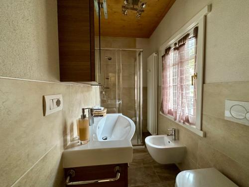 ein Badezimmer mit Waschbecken und Toilette in der Unterkunft Chalet Ame in Bormio