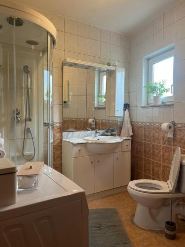 a bathroom with a toilet and a sink and a mirror at Pelivan Apartments in Kaštela