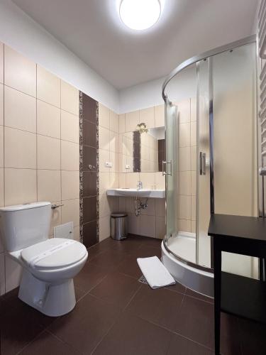 a bathroom with a toilet and a shower and a sink at Willa 654 in Szklarska Poręba