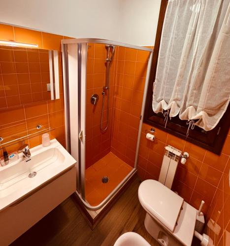a bathroom with a shower and a toilet and a sink at Il Girasole in Campi Bisenzio