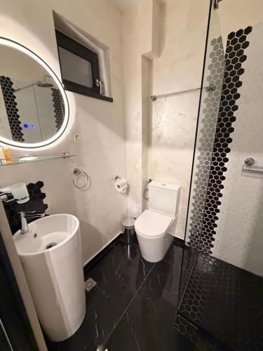 a bathroom with a sink and a toilet and a shower at Twin Cabins Azuga in Azuga