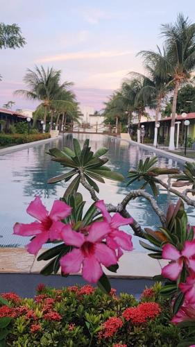 a view of a swimming pool with pink flowers at Casa Bela in Itamaracá