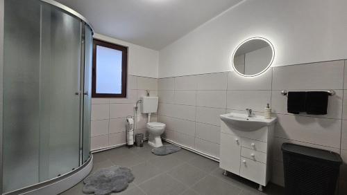 a bathroom with a shower and a sink and a toilet at Cabana La Aurel in Subcetate