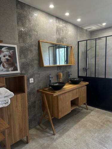 a bathroom with two sinks and a mirror at Villa les pins in Chambonas