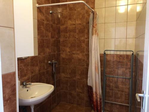 a bathroom with a sink and a shower at Árpád Vendégház in Hajdúszoboszló