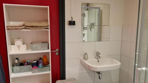 a bathroom with a sink and a shower at Landkamer in Bolsward