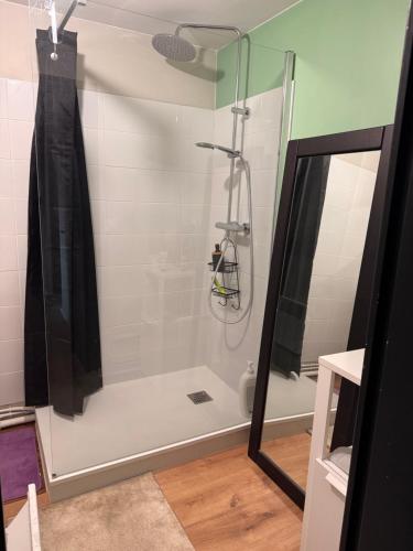 a shower in a bathroom with a glass door at Saint Malo centre lambety in Saint Malo
