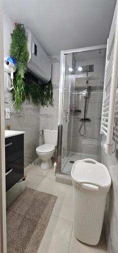 a bathroom with a shower and a toilet and a sink at Luxy Room in Courseulles-sur-Mer