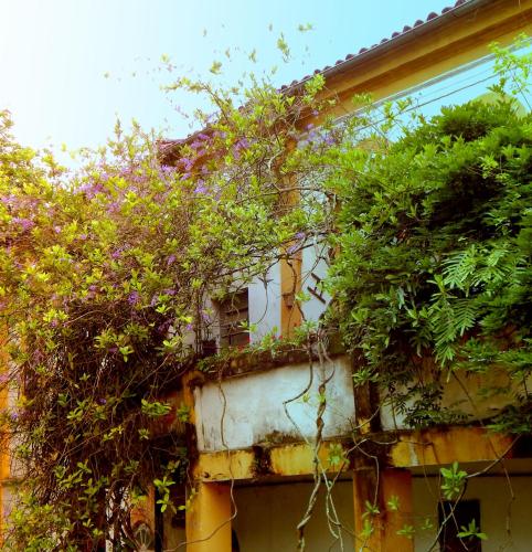 Κήπος έξω από το Pouso das Glicínias - B&B