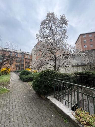 Loreto Blue House - Ampio 6 posti vicino a Metro M2 e San Raffaele
