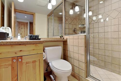 a bathroom with a toilet and a sink and a shower at Timberline Condominiums Studio Deluxe Unit 215 in Snowmass Village