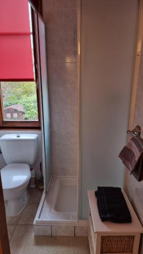 a bathroom with a shower and a toilet and a sink at La Gloriette Riquewihr in Riquewihr