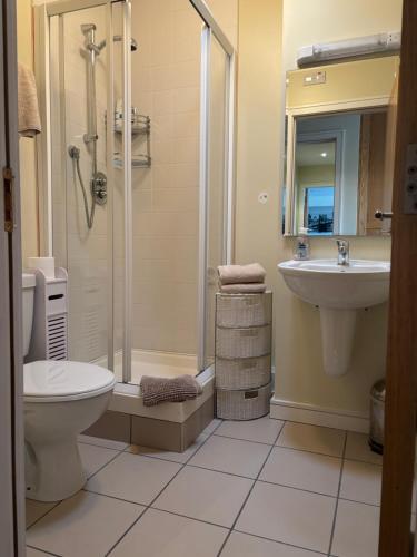 a bathroom with a shower toilet and a sink at Courthouse View Penthouse 1 in Clifden