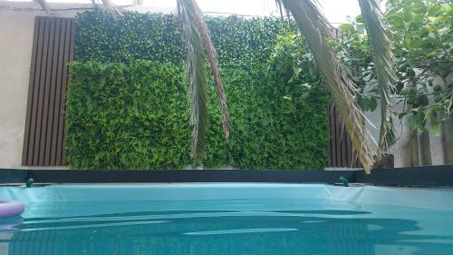 a swimming pool in a building with a green hedge at Loft Salta in Bahía Blanca