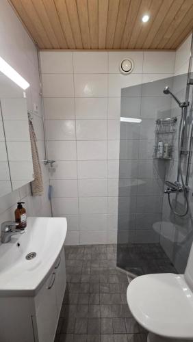 a bathroom with a shower and a sink and a toilet at Kaksio Kimpisessä in Lappeenranta
