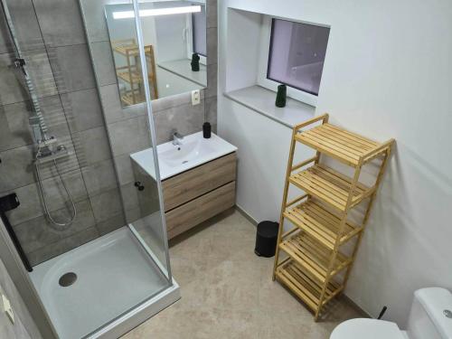a bathroom with a shower and a sink and a toilet at Le Fond du Village in Solre-Saint-Géry