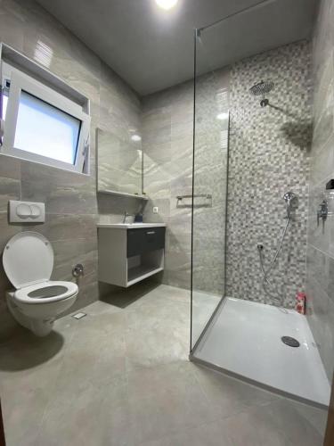a bathroom with a shower and a toilet and a sink at Villa Oaza in Bar