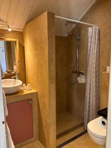 a bathroom with a shower and a sink at Beach House Texel in De Koog