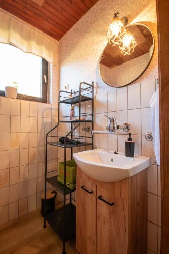 a bathroom with a sink and a towel rack at Kopitnik cosy cabin in Dol pri Hrastniku