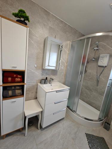 a bathroom with a sink and a shower at Clonakilty Cozy Nest in Clonakilty