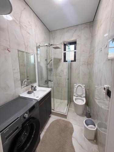 a bathroom with a shower sink and a toilet at Коттедж Alfa in Koshkolʼ