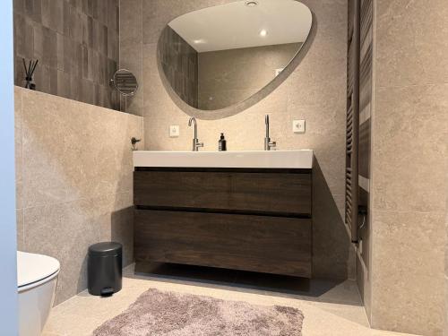 a bathroom with a sink and a mirror at Villa France in Sevenum