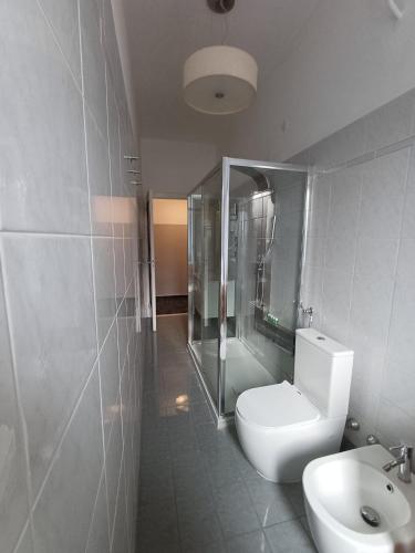 a bathroom with a toilet and a shower and a sink at UN BEL POSTO AL MARE in Savona