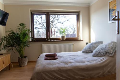 a bedroom with a large bed and a window at U Marysi i Jerzego in Żarnowska