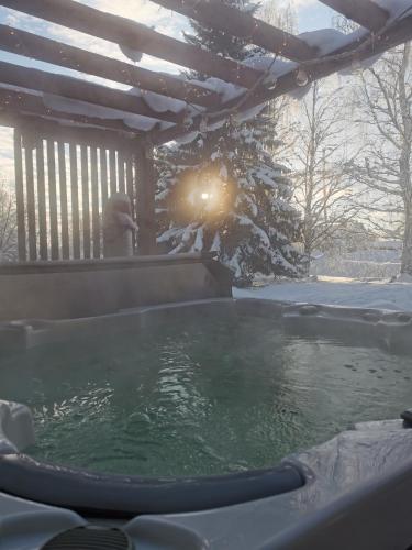 Billede fra billedgalleriet på Willa Arctic i Pello