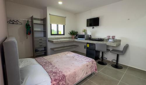 a bedroom with a bed and a desk with a microwave at X Mahaná Apartamentos Temáticos in Mérida