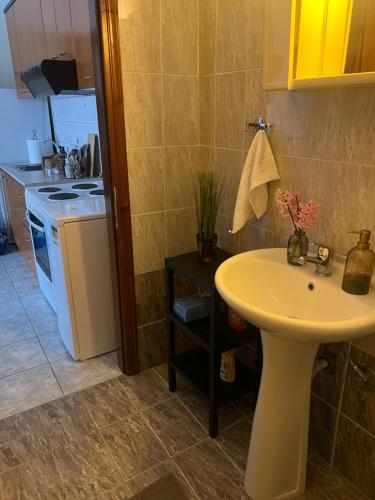 a small kitchen with a sink and a sink at Castle Town Apartment in Dhidhimótikhon